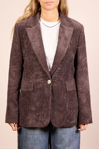 Immagine di BLAZER VELLUTO